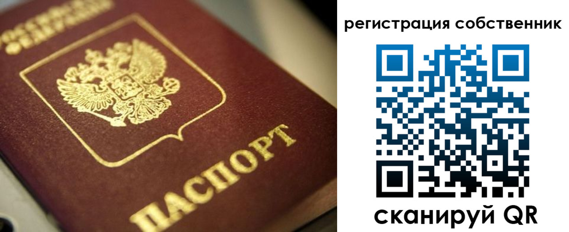 прописка в Светлогорске